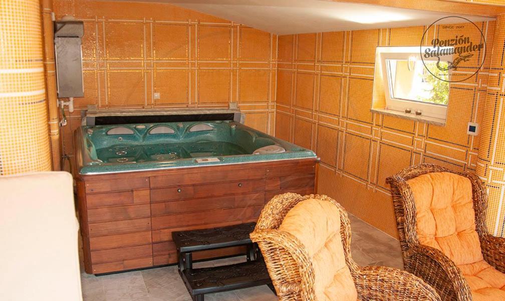 Penzion Salamander Терхова Экстерьер фото